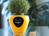 Smart Pot with sensors understand the plant’s emotions, creating different faces gives feedback