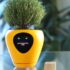 Through Artificial Intelligence, the drone will identify insects or diseases on the crop, then it will spray the drug itself