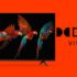 What is Dolby Atmos Technology? Virtual Dolby Atmos Vs Real Dolby Atmos?