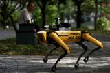 Coronavirus: Robot Dog at Park Patrol in Singapore
