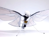 Bugs like Robots can fly to height of 100 meters, speeds up to 18 km/h