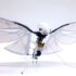 The threat of cancer from Apple Airpods, 250 scientists warned in the petition