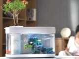 Xiaomi launched fish tank in 3 thousand rupees. Its light-flitter power bank