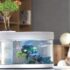 Xiaomi launched fish tank in 3 thousand rupees. Its light-flitter power bank